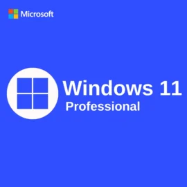 Microsoft Windows 11 Professional Activation Key